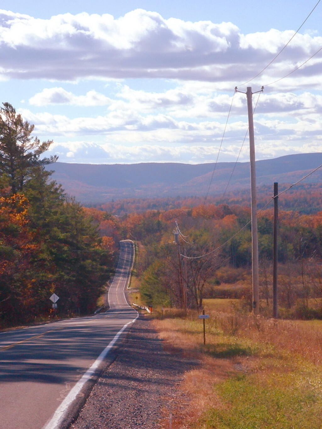 Photo Pleasant Valley Road Andy