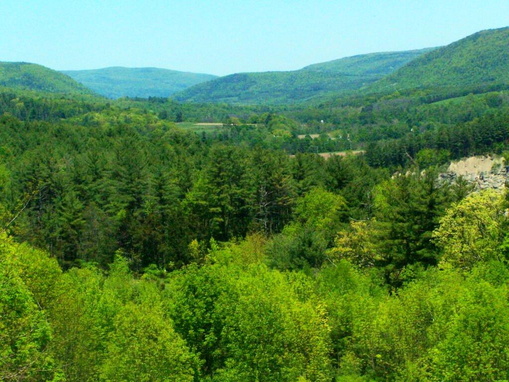 Photo Down Schoharie Valley Andy