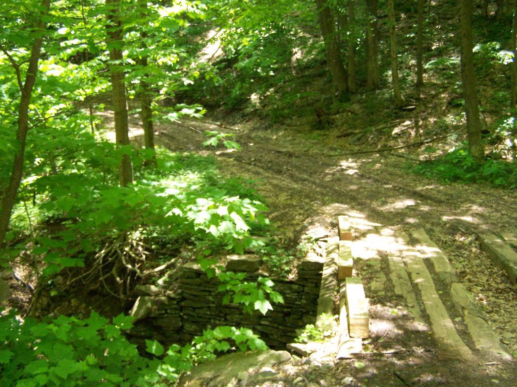 Palenville Overlook Andy