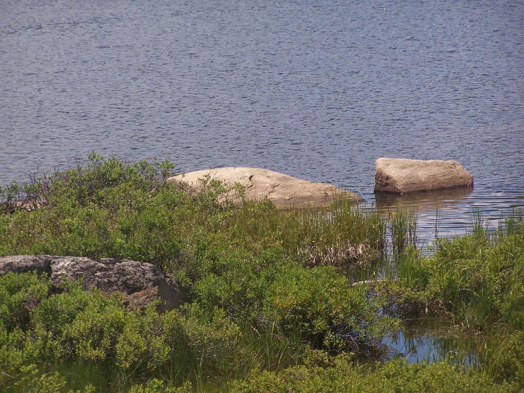 Photo Crane Lake 89 Andy