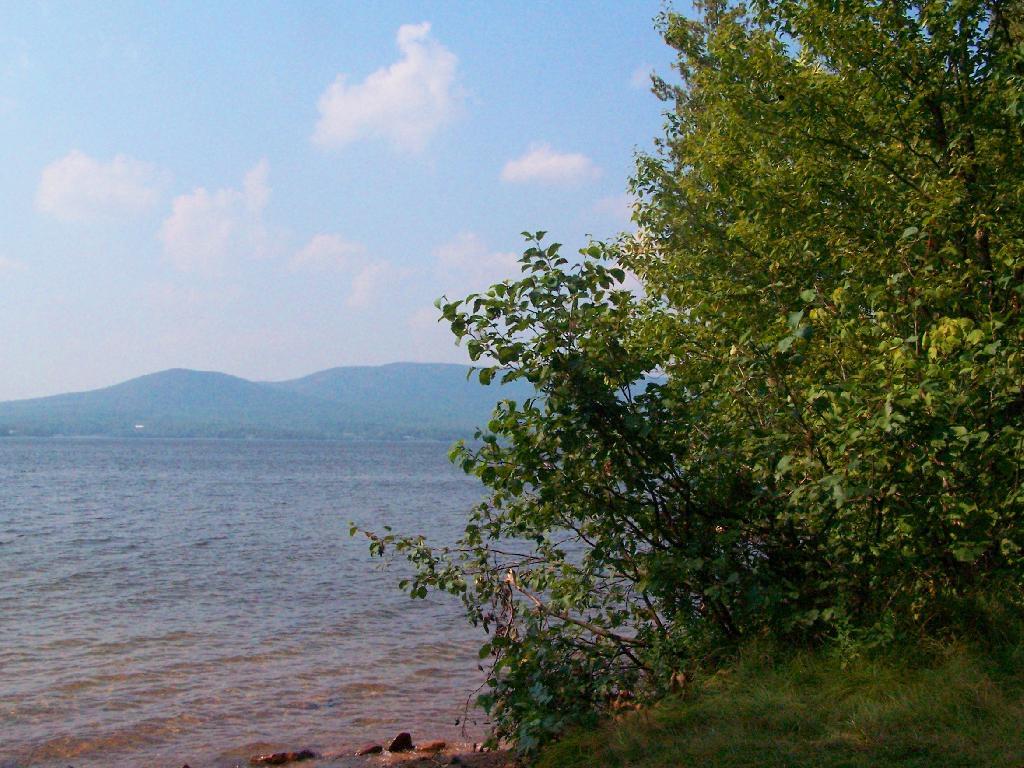 Search Results for “chazy lake” Andy