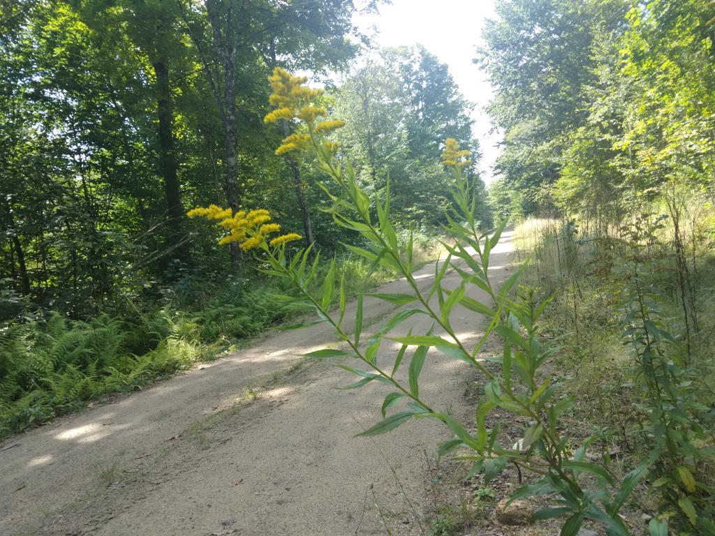 Photo Along Mud Lake Road Andy