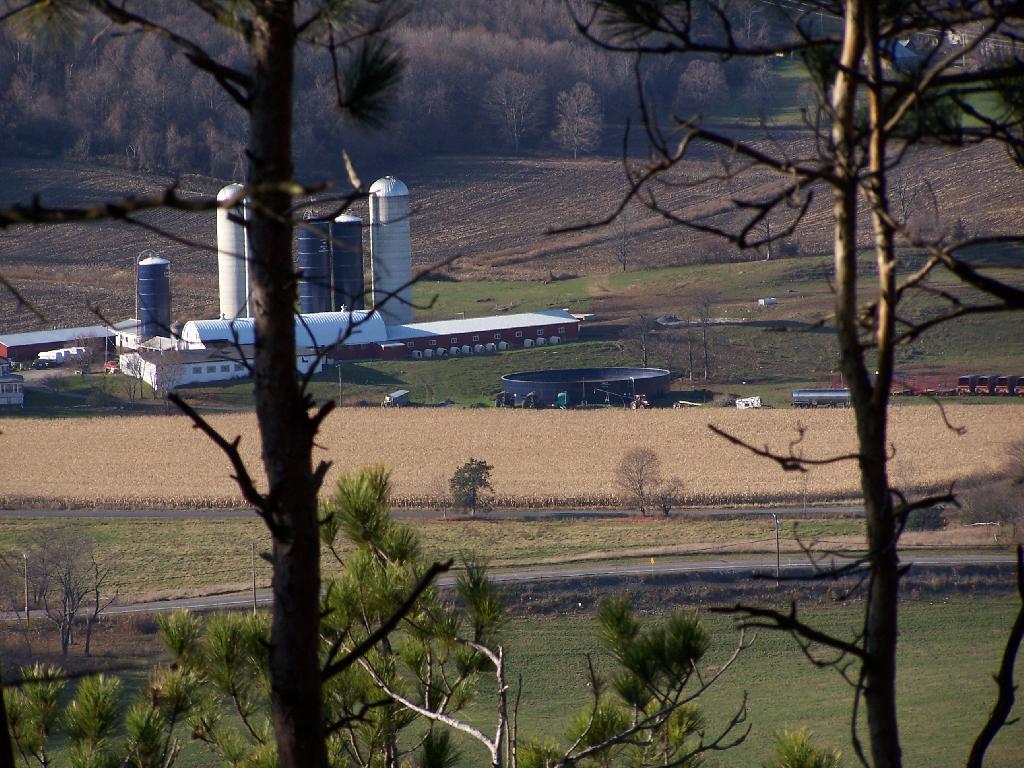 Photo Meadowbrook Farm Through Trees Andy