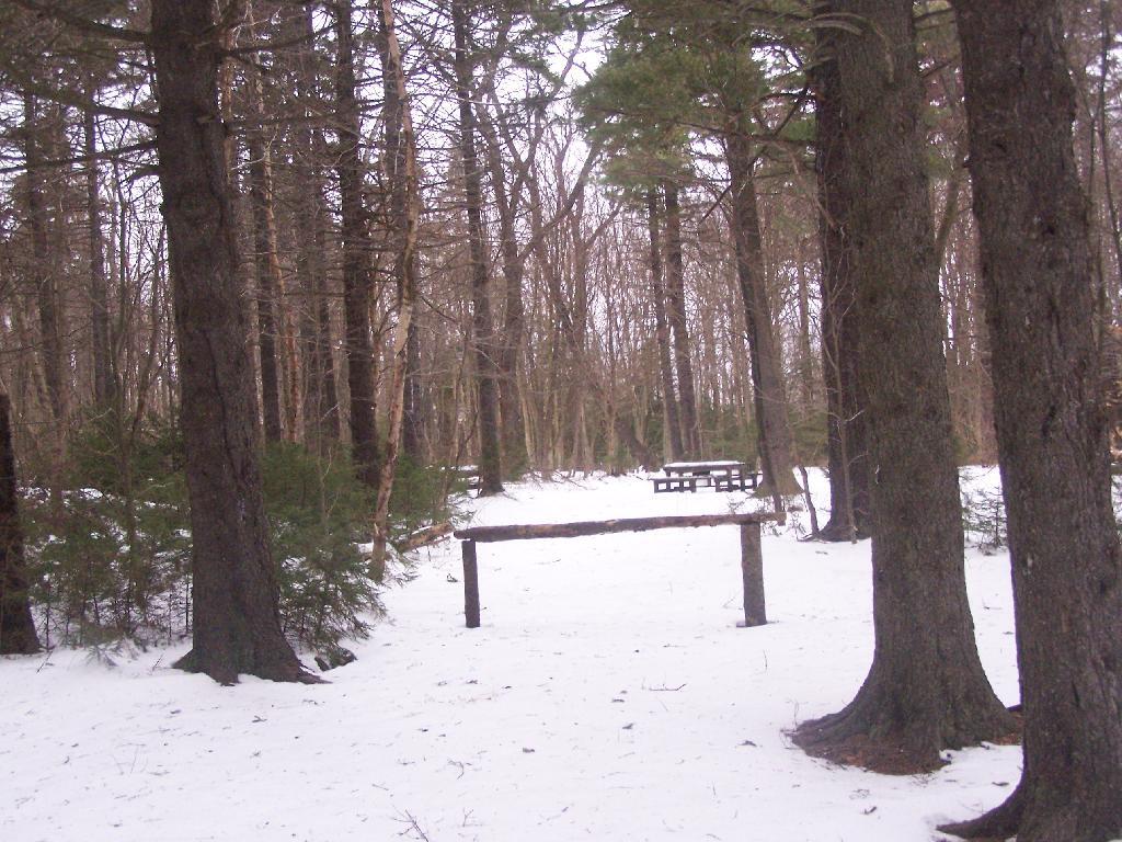 Photo Sperry Road at Campground Andy