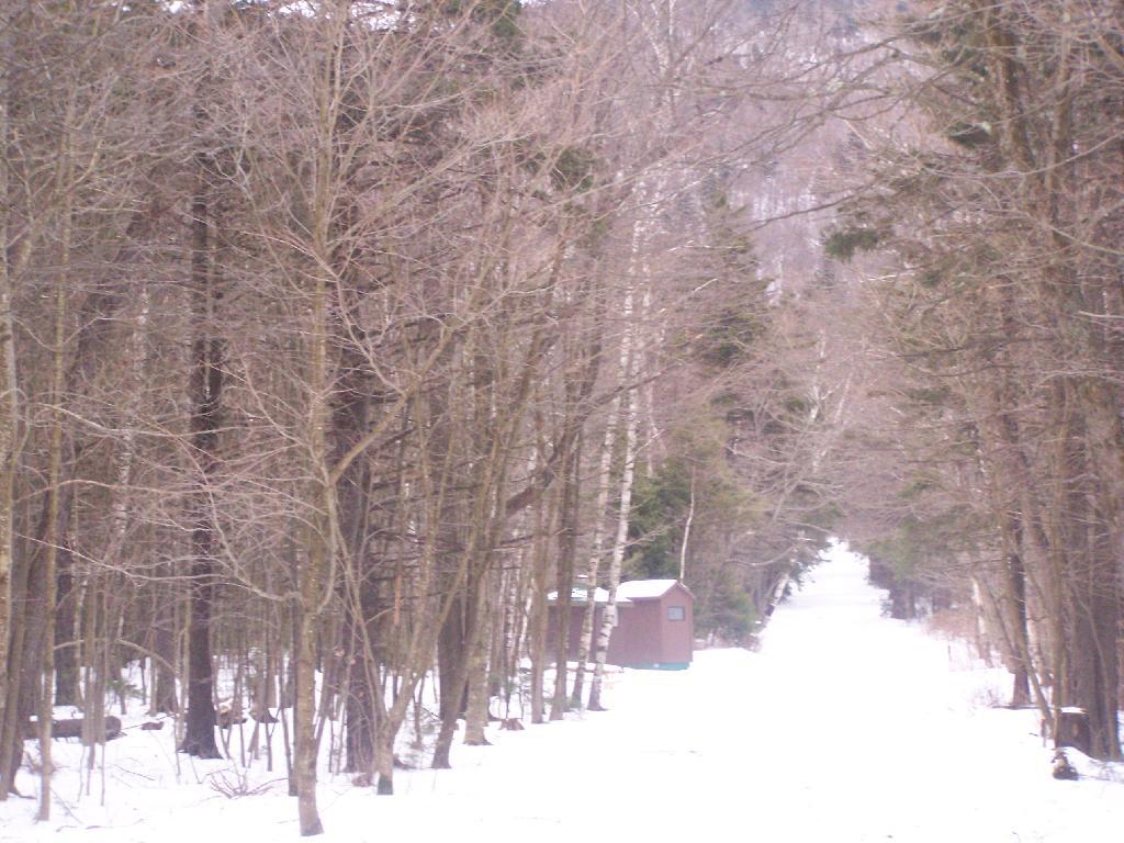 Photo Campsite R6 on Sperry Road Andy