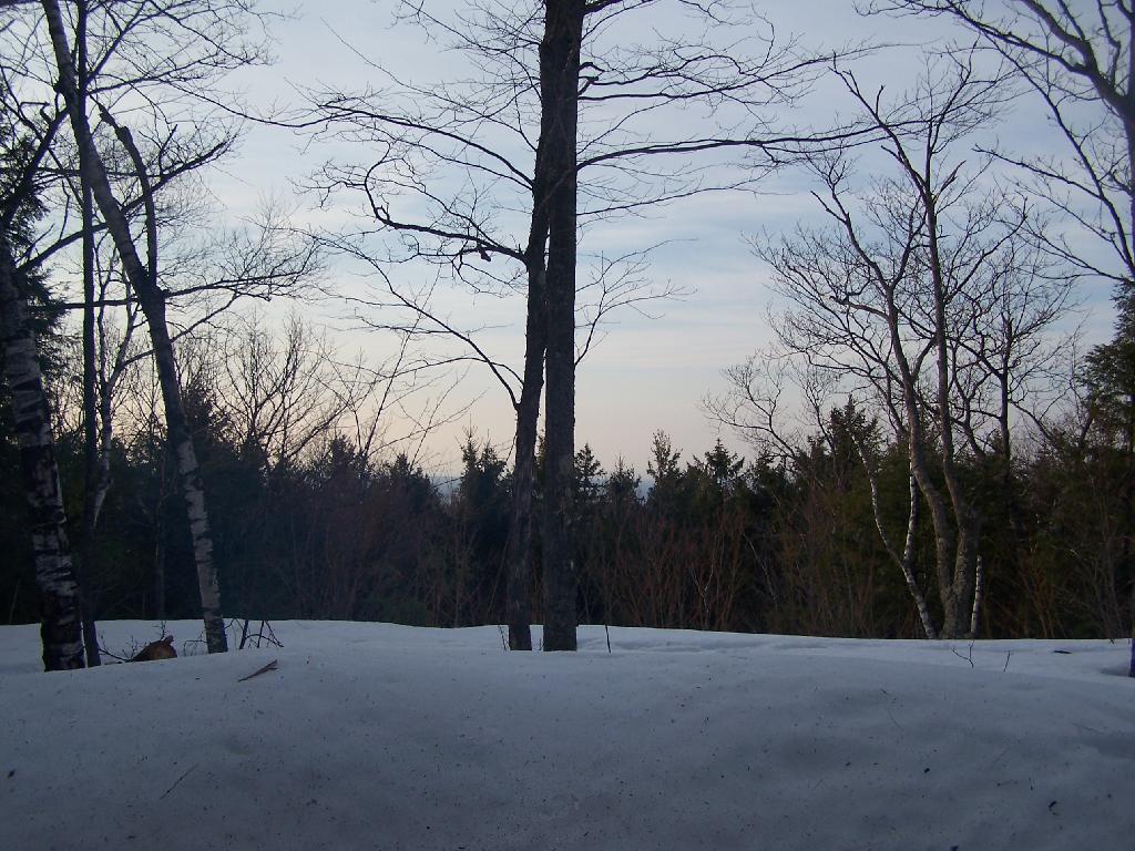 Photo Looking Out the LeanTo Andy