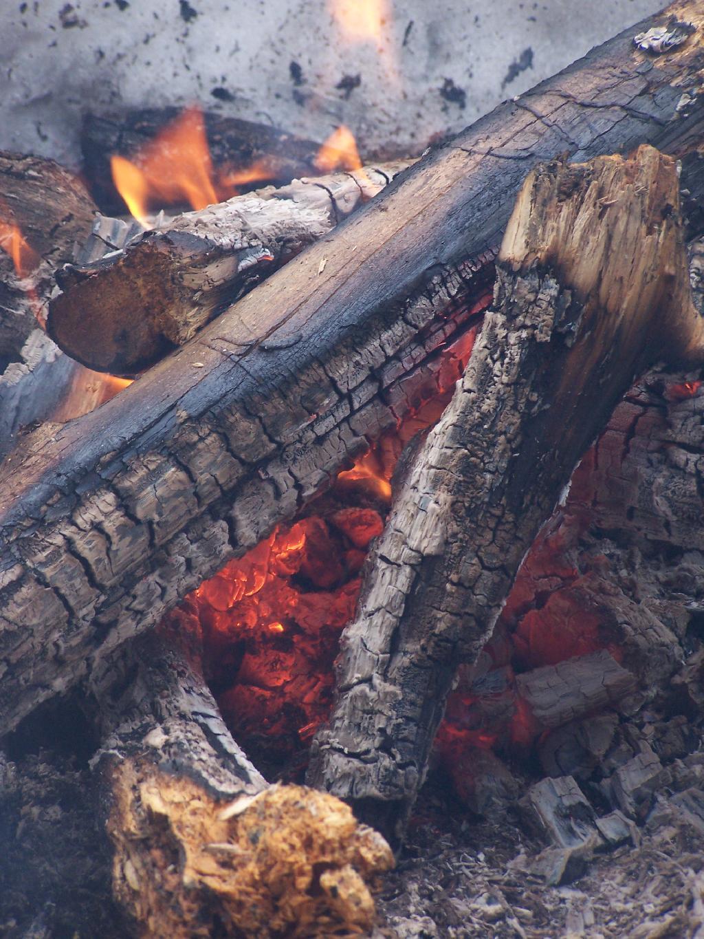 Dutch Settlement State Forest Andy