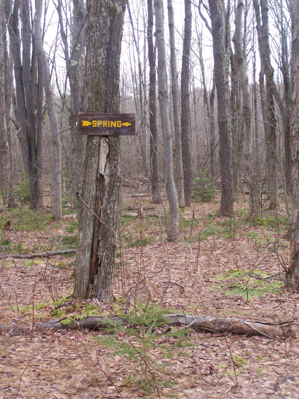 BurntRossman State Forest Andy
