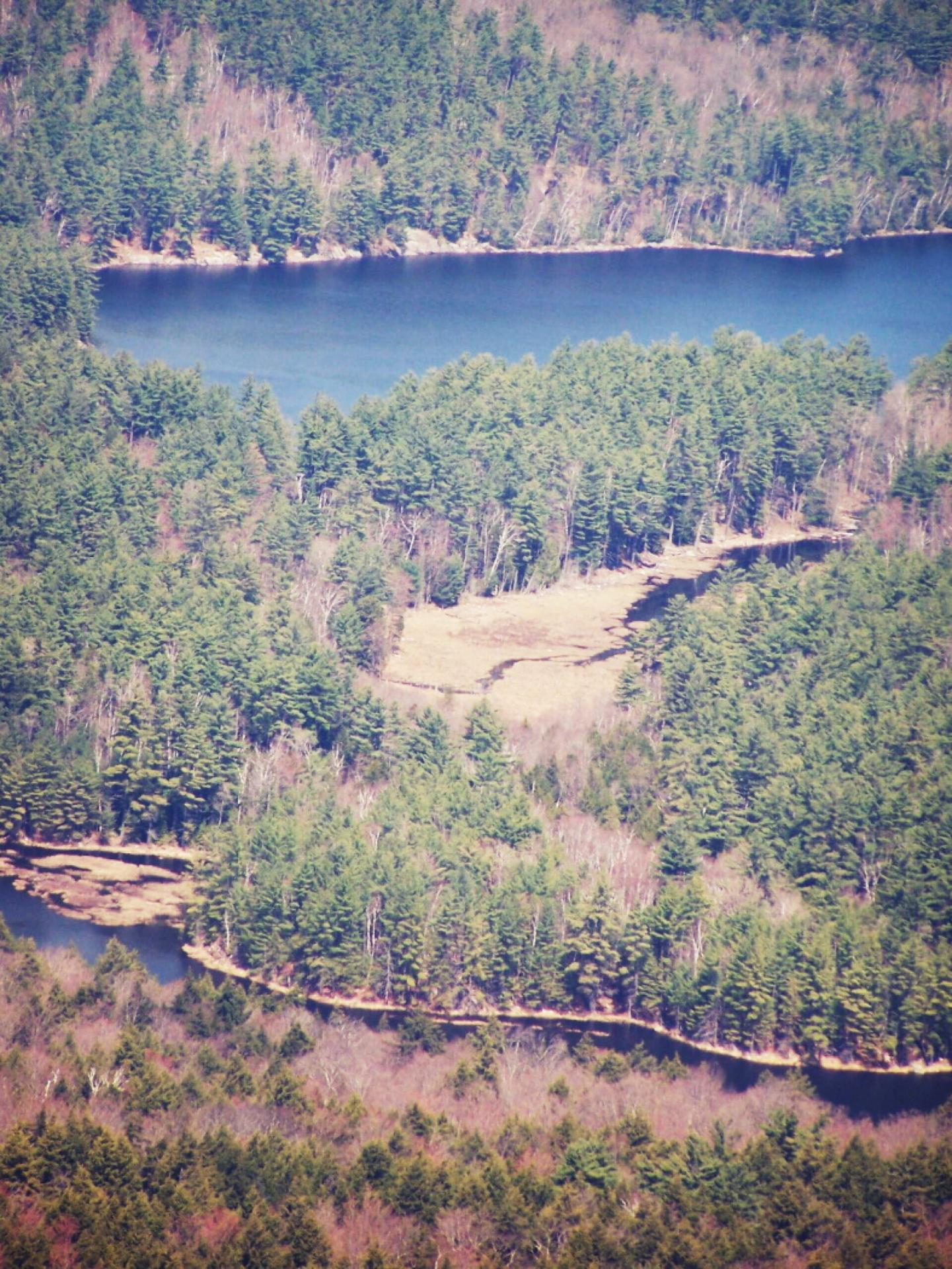 Photo Glidden Marsh and Oxbow Pond Andy
