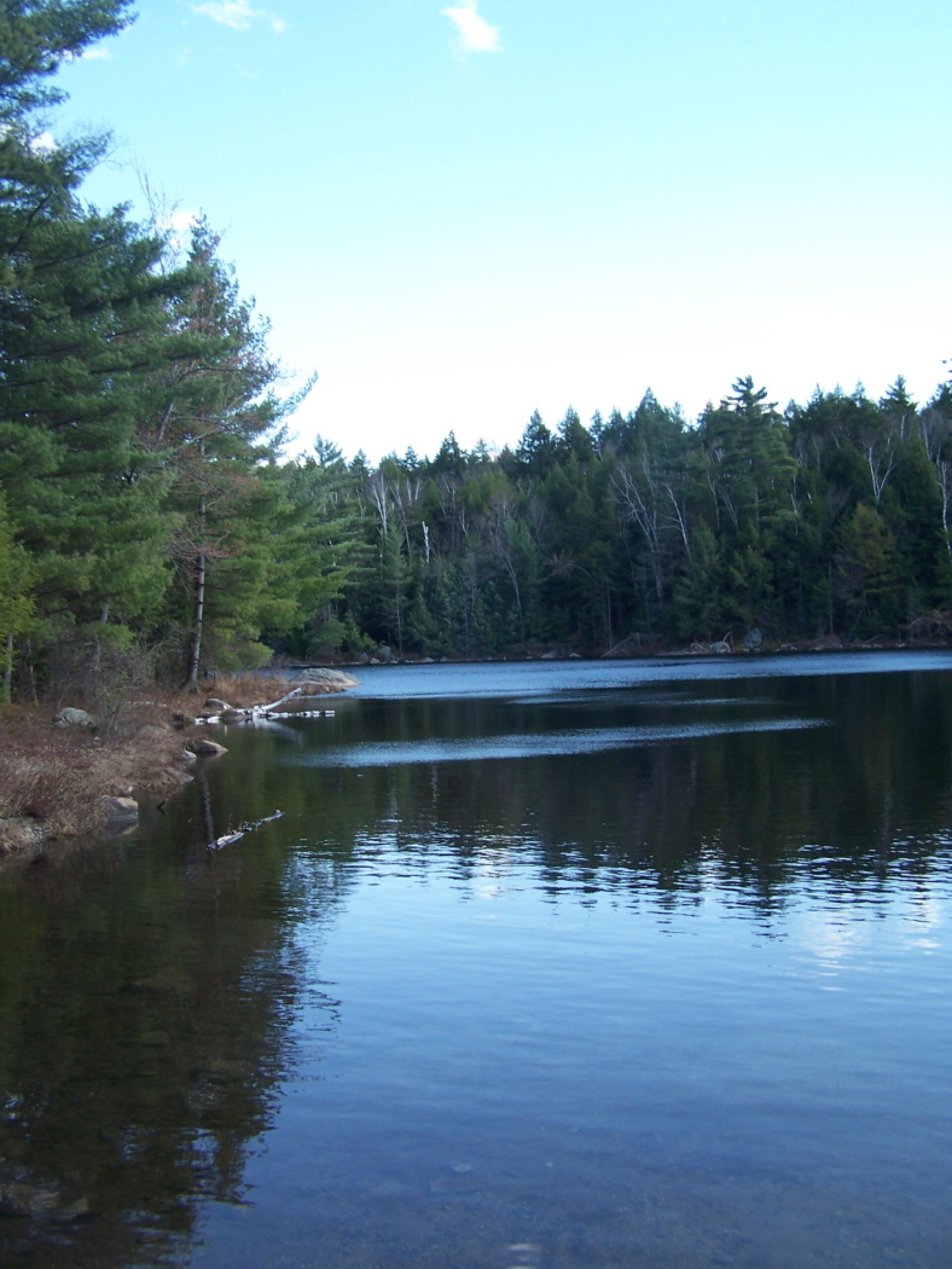 Photo Crane Pond Andy