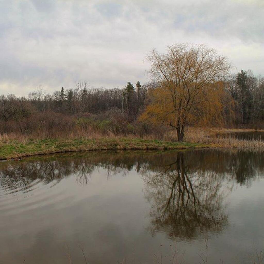 Photo Foster Pond Andy