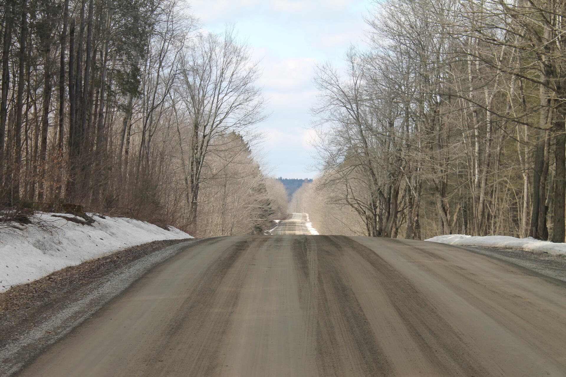 Photo Dirt Road Andy