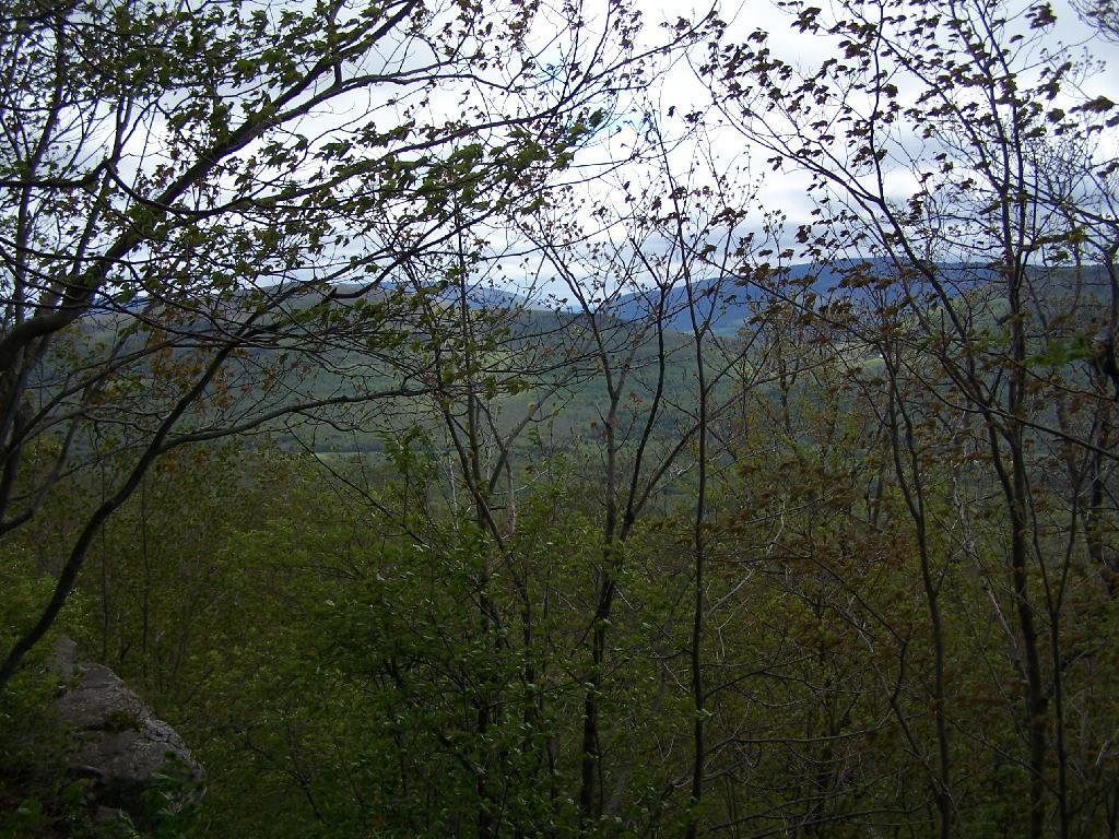 Photo East Jewett Range Andy