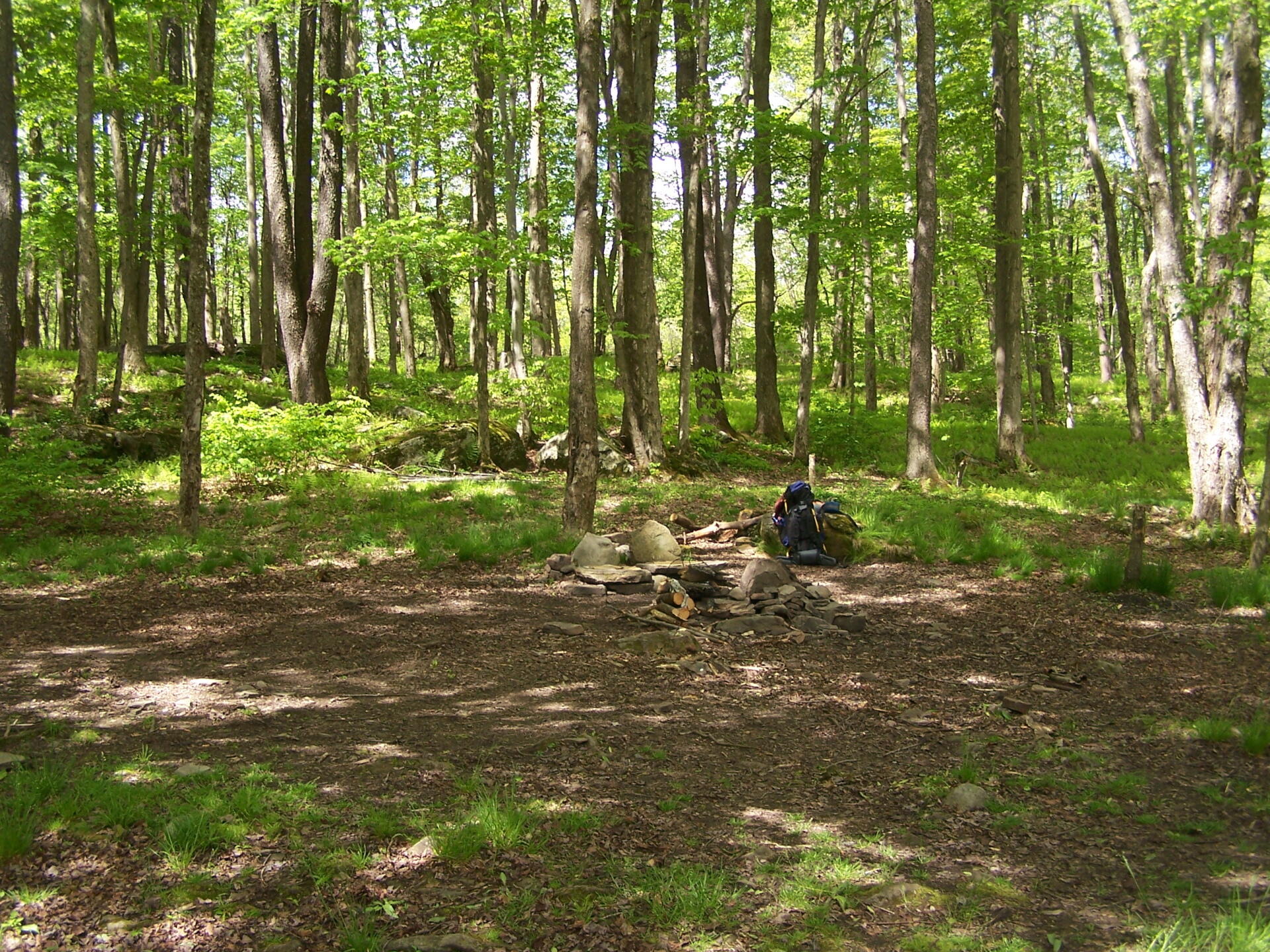 Photo The Campsite Andy