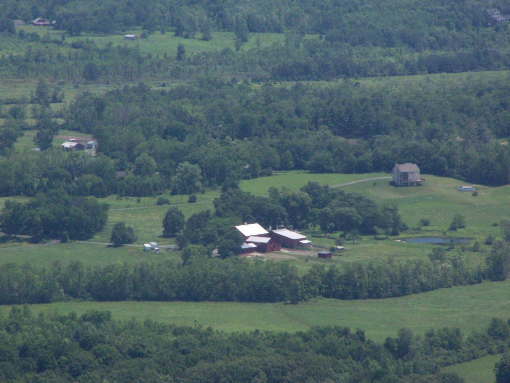 Photo Farm in Altamont Andy