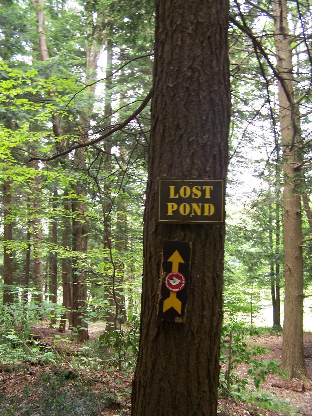 Photo Lost Pond Sign Andy