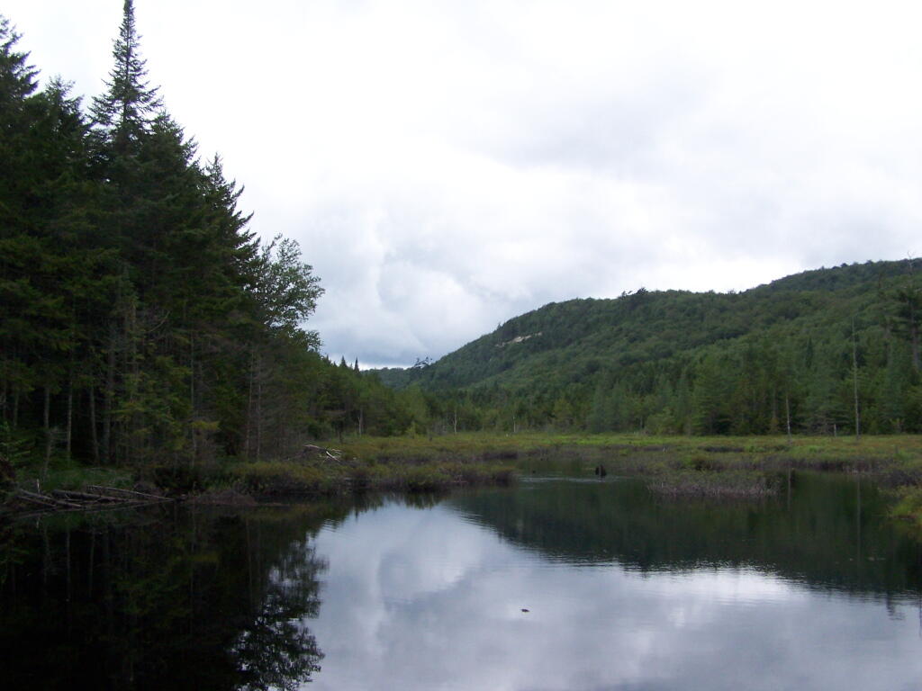 Photos Moose River Plains (Jul 25, 2010, Part A) Andy