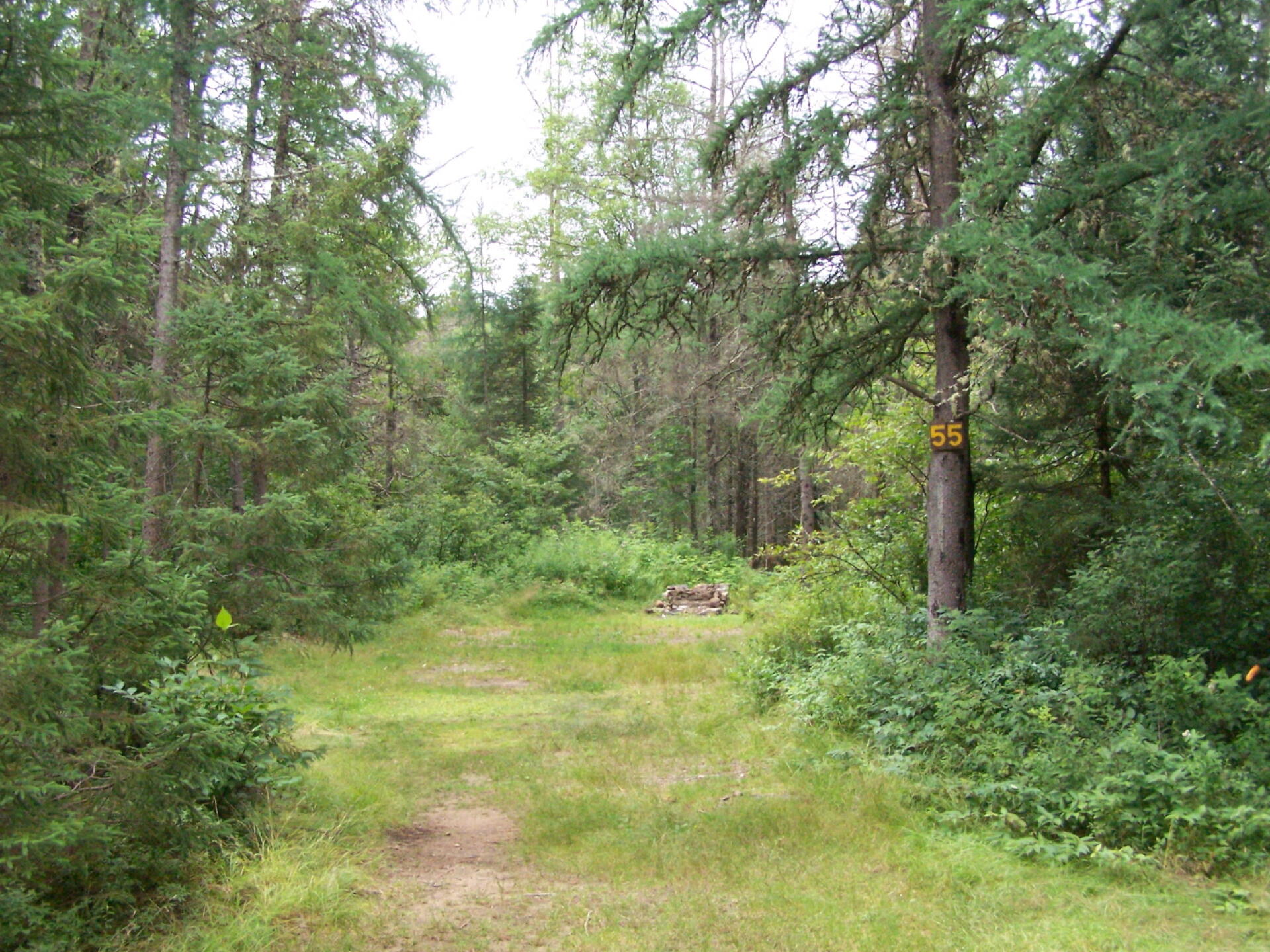 Moose River Plains Maps, Photos, Videos, Aerial Photography, Charts