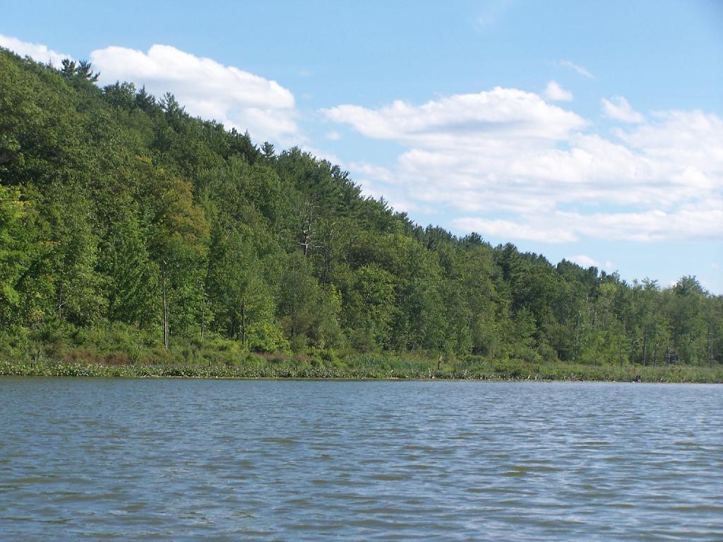 Lawson Lake County Park Andy