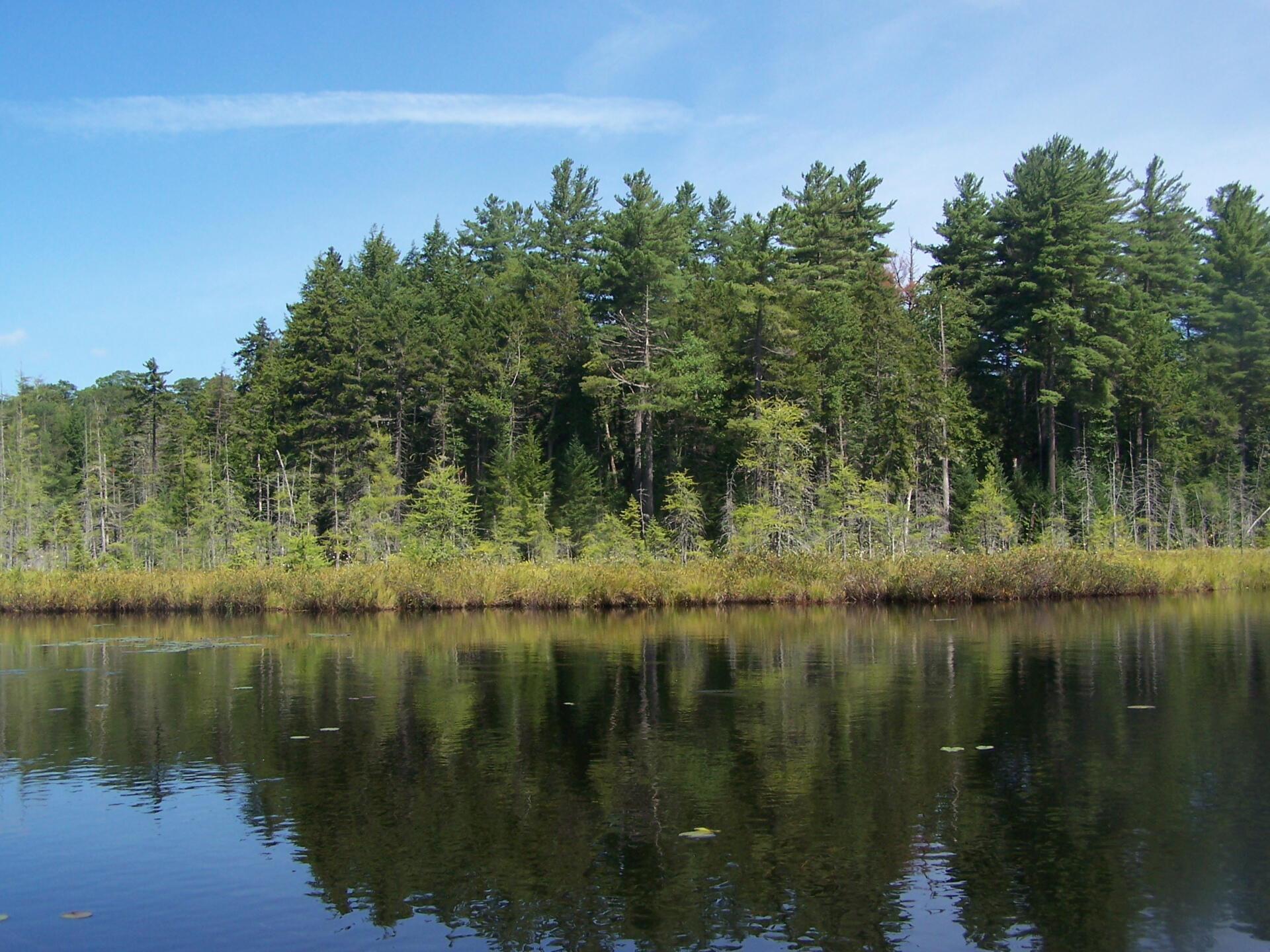 Photo Island on Mason Lake Andy
