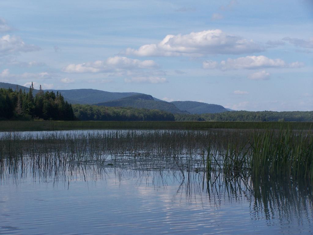 Moose River Plains Andy