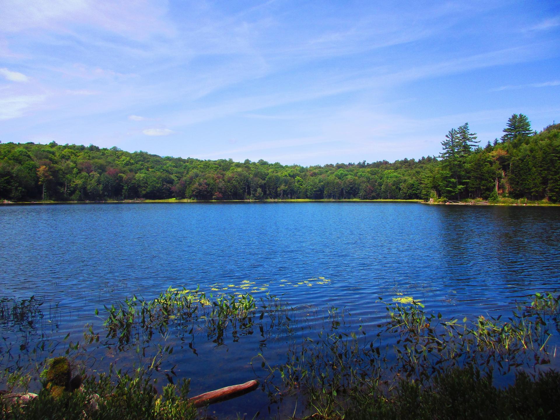 Ferris Lake Wild Forest Maps, Photos, Videos, Aerial Photography