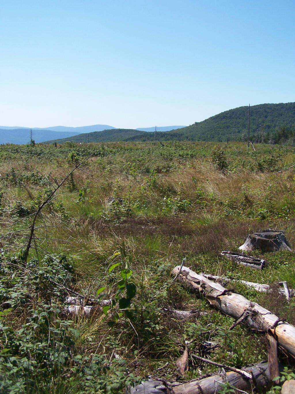 Ashland Pinnacle State Forest Andy
