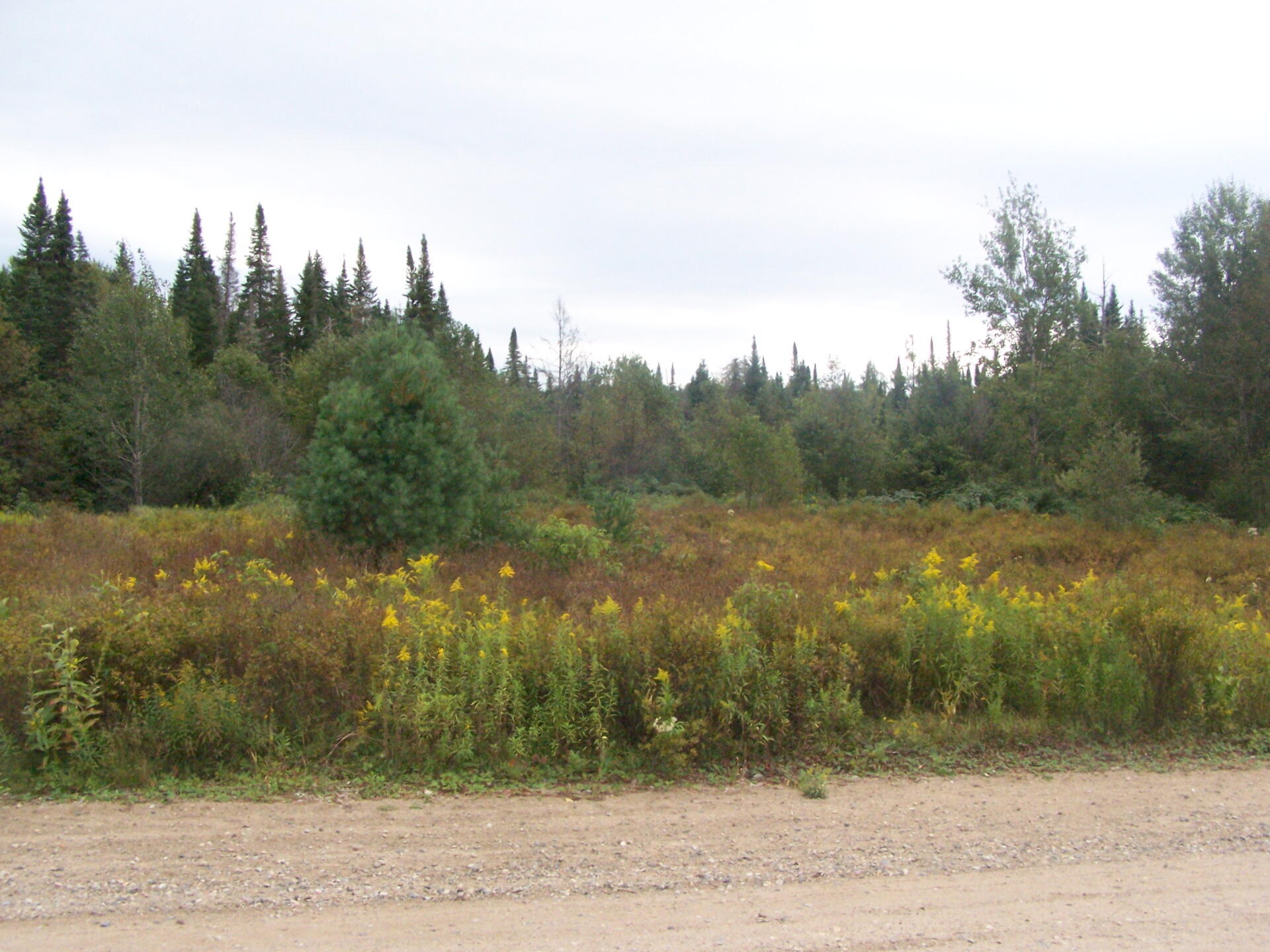 Photo Plains of East Canada Creek Andy