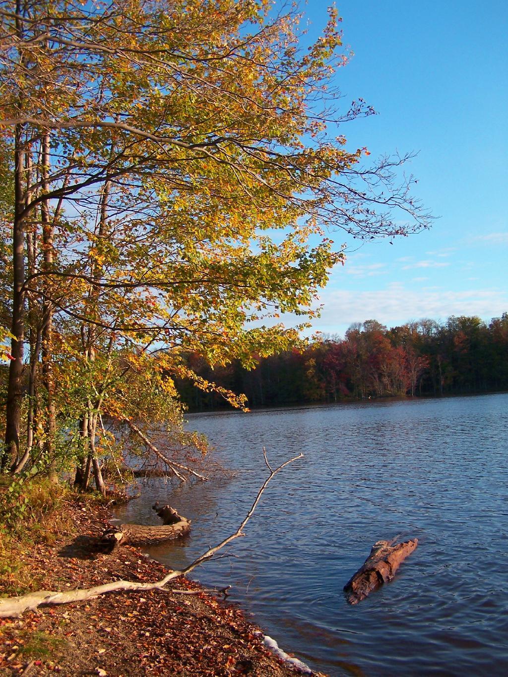 Photo Along Salmon River Reservoir Andy