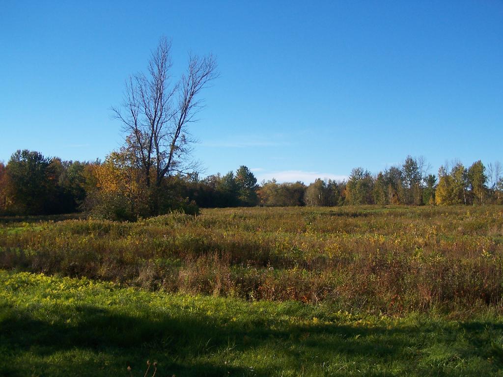 Three Rivers WMA Andy