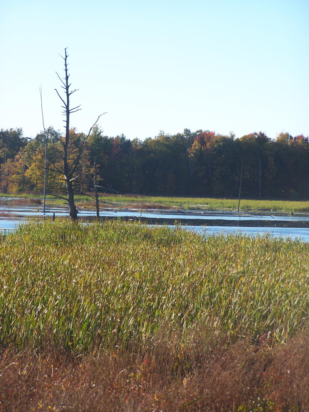 Three Rivers WMA Maps, Photos, Videos, Aerial Photography, Charts