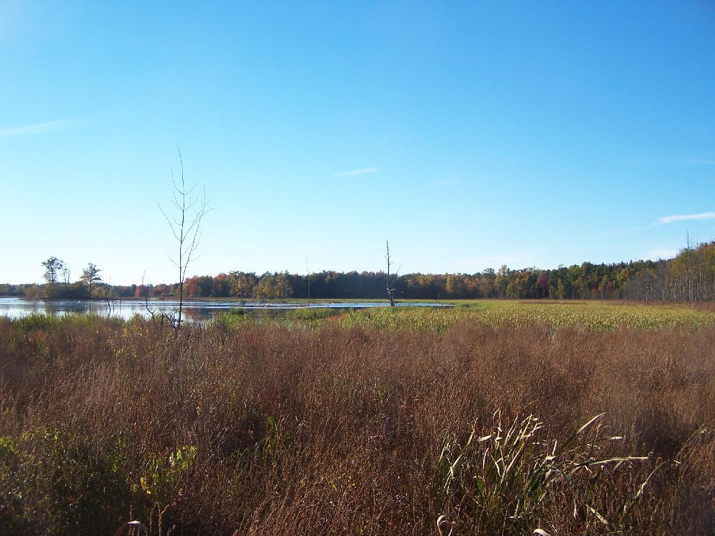 Three Rivers WMA Andy