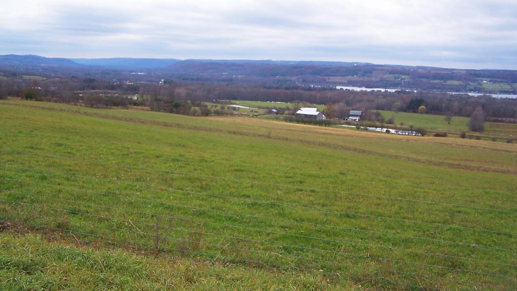 Sugar Hill State Forest Andy