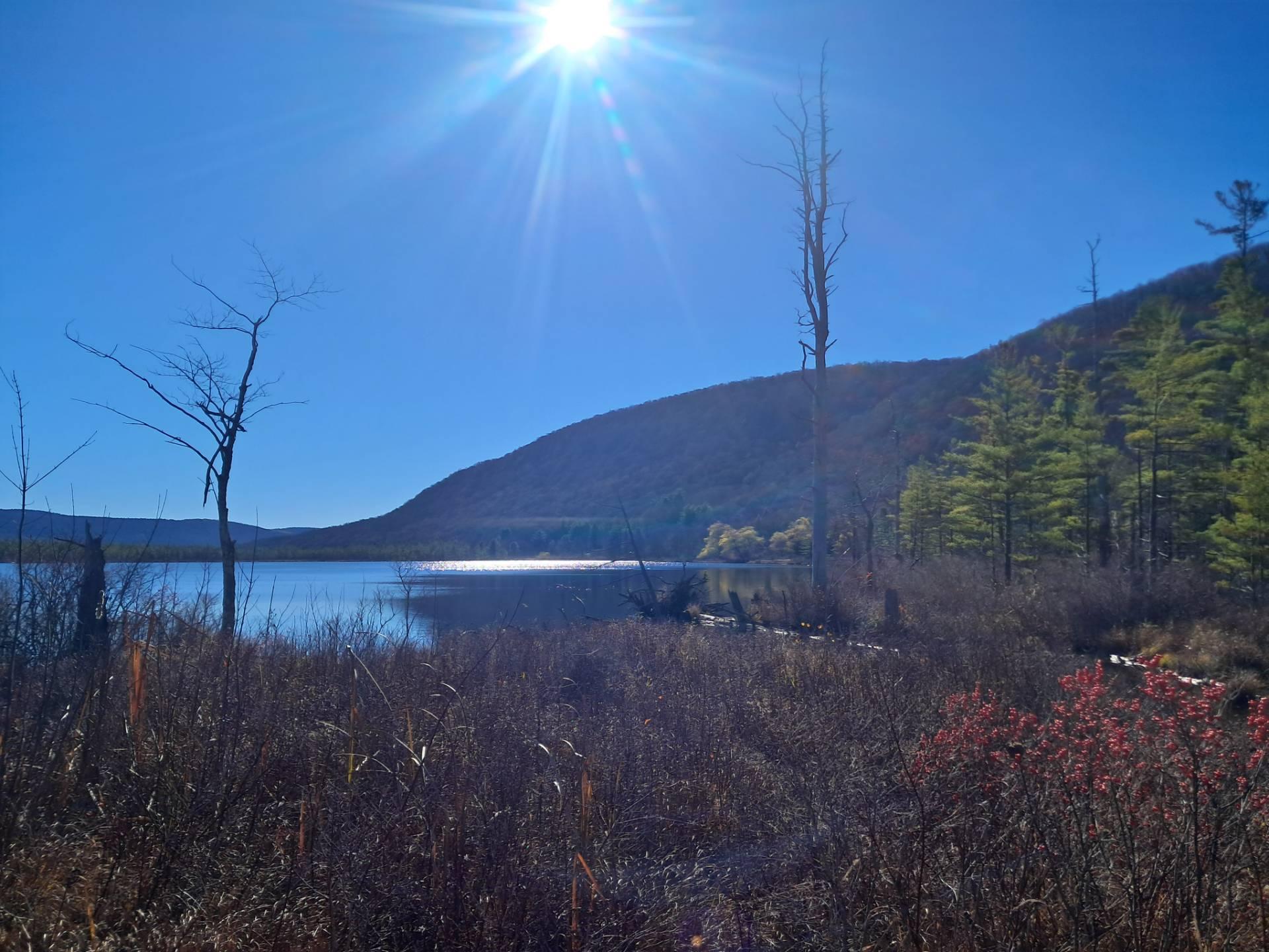 Thematic Map Coeymans Town Supervisor 2023 Andy