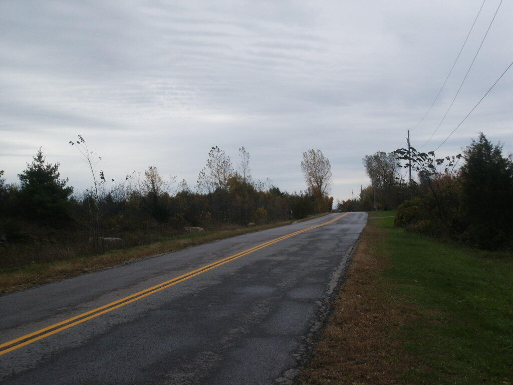 Photo Reynolds Road Andy