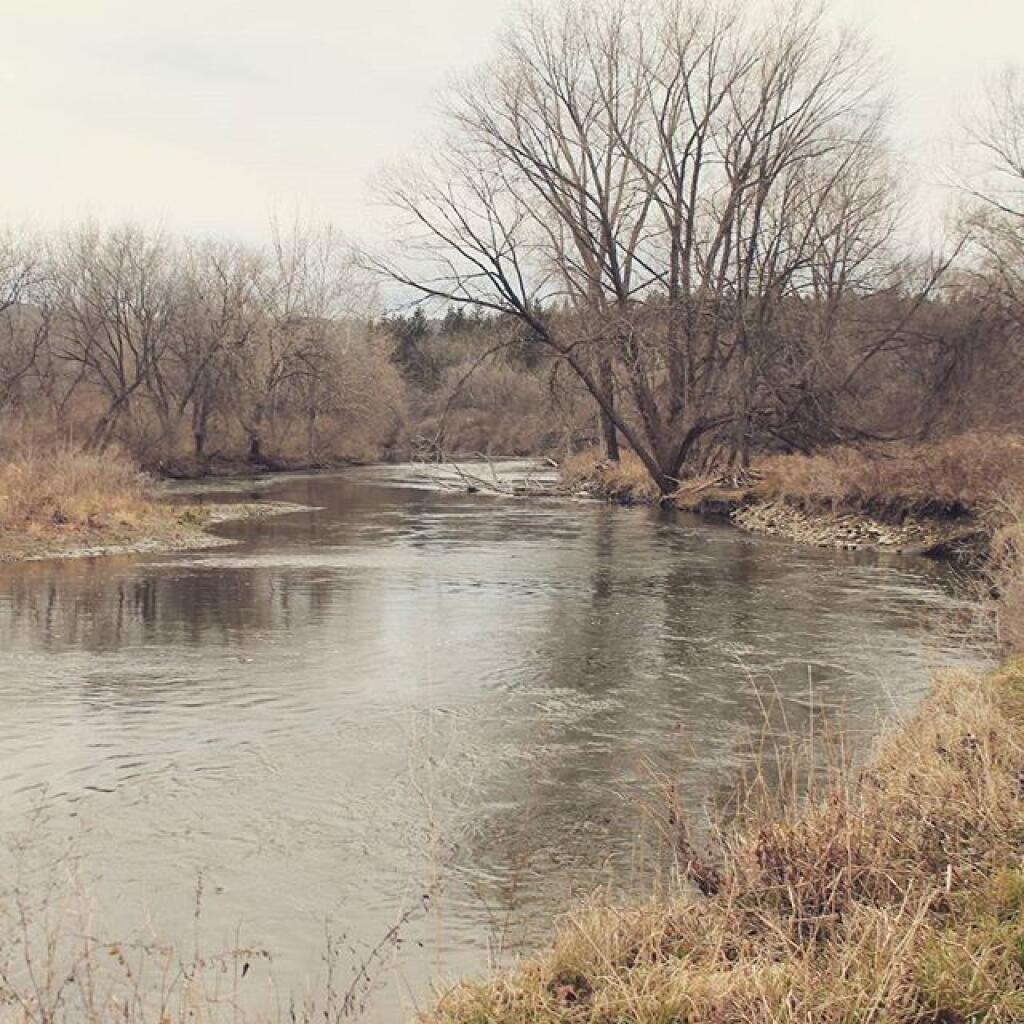 Photo Chenango River Andy