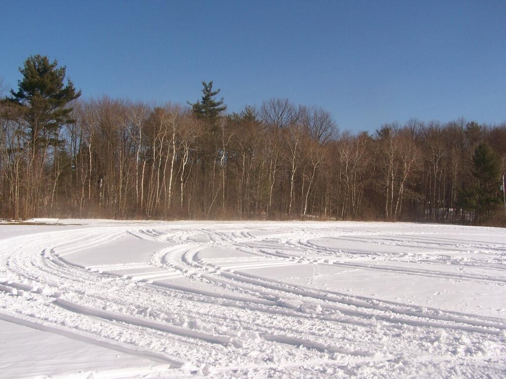 Delmar, New York Andy