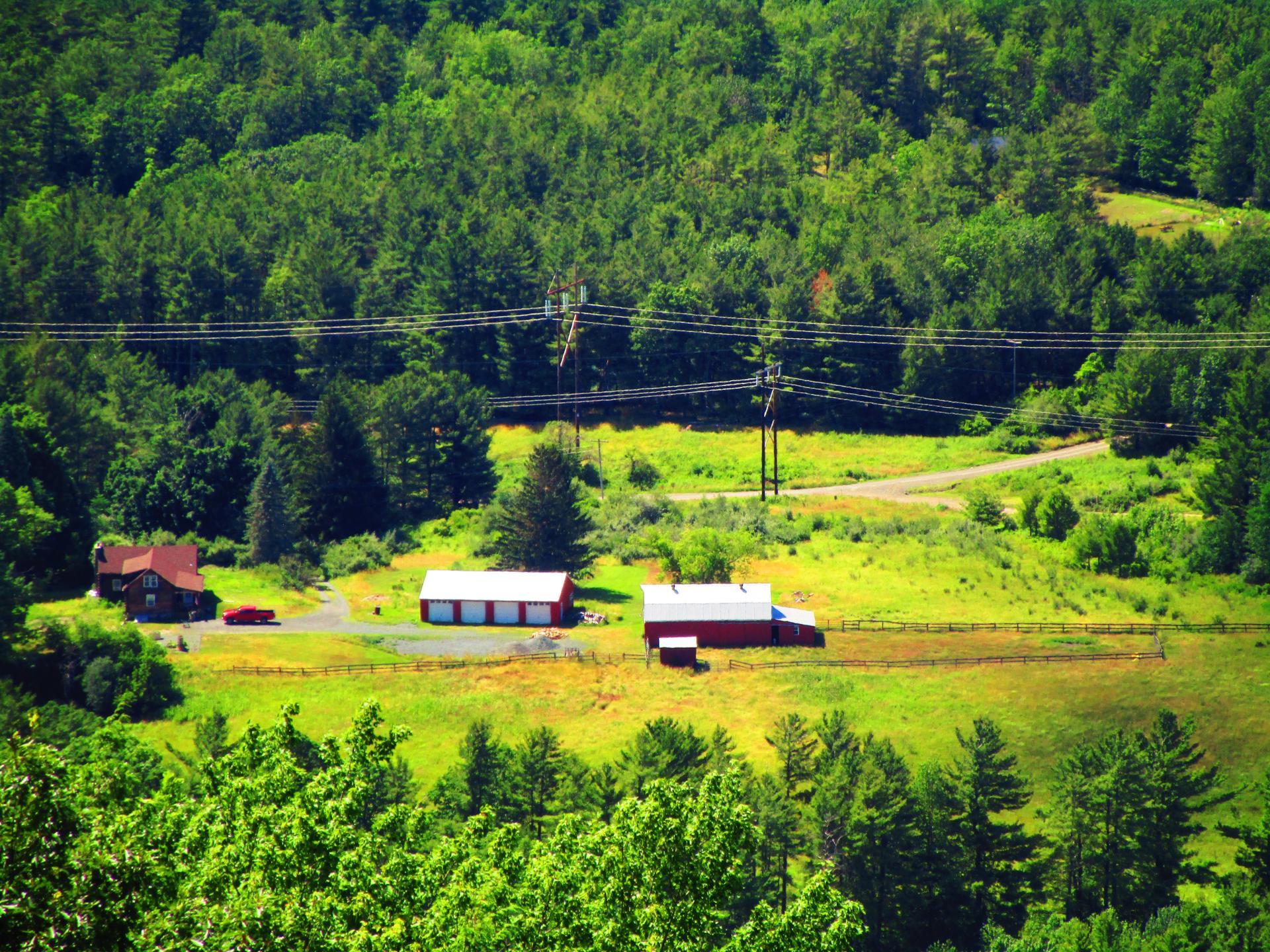 Photo Maddalla Farm Andy