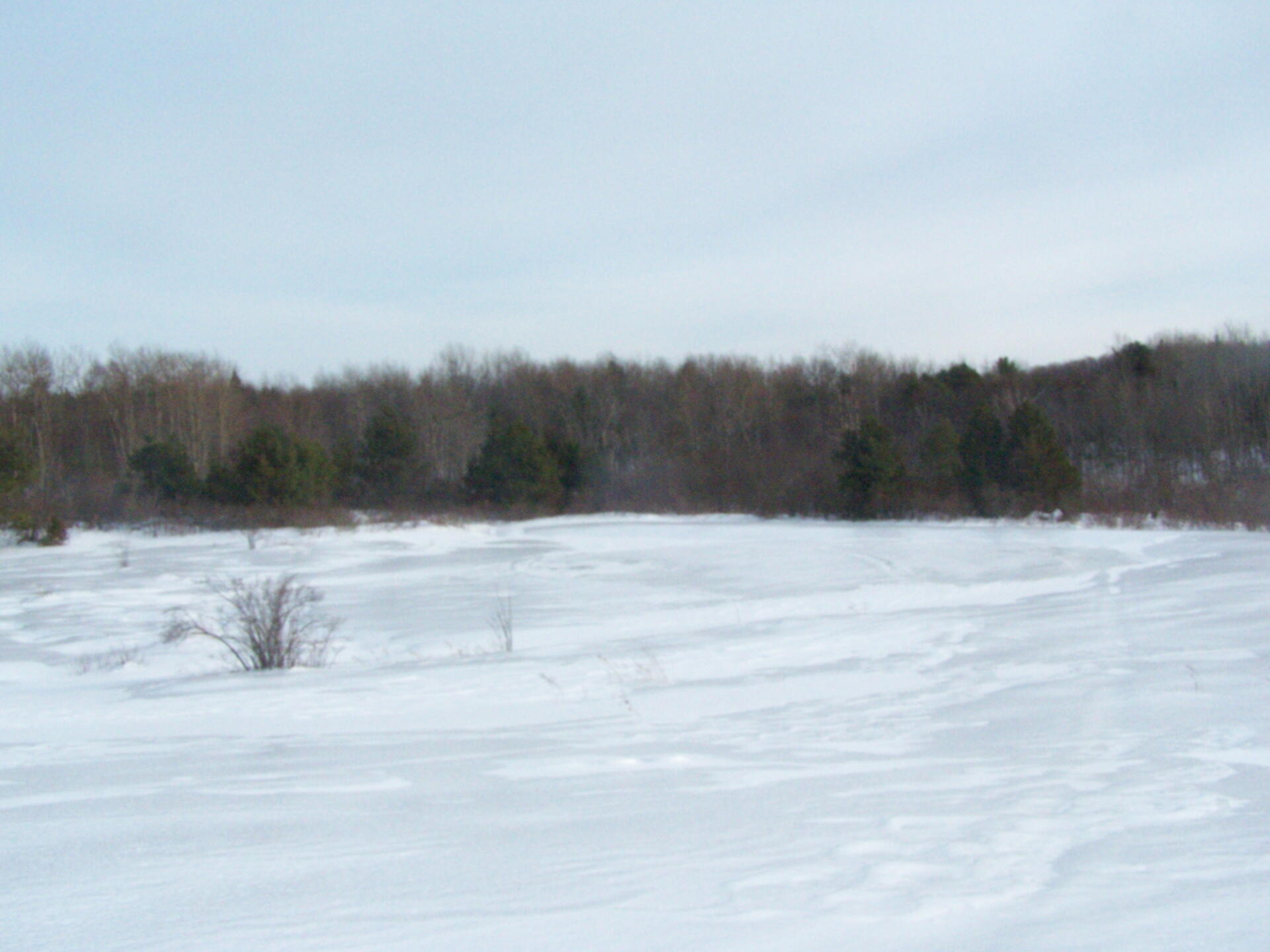 Photo Ice and Snow Covered Pond Andy