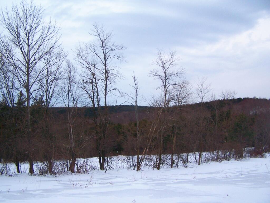 Photo Cook Hill Valley Andy