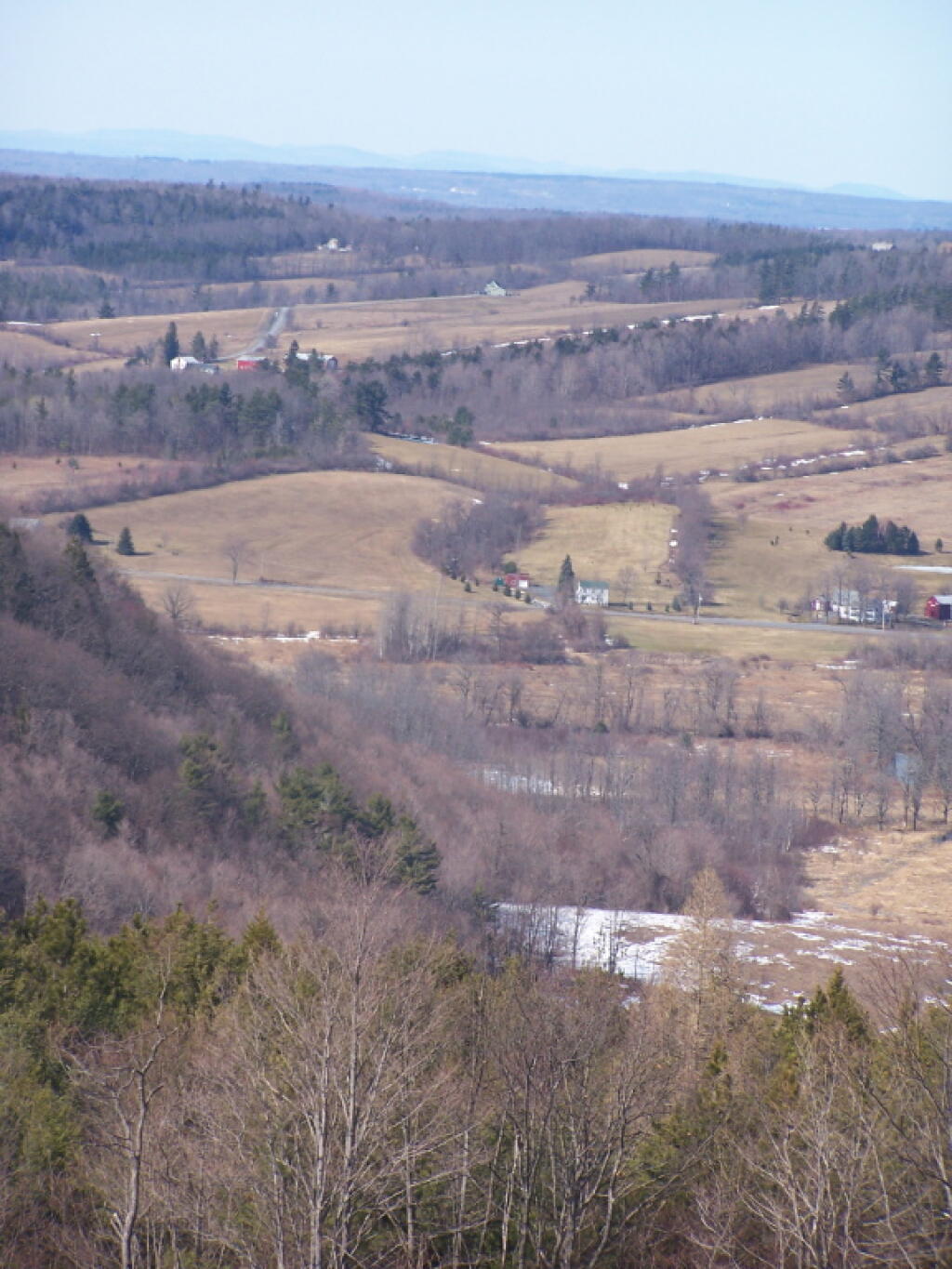 Cole Hill State Forest Andy