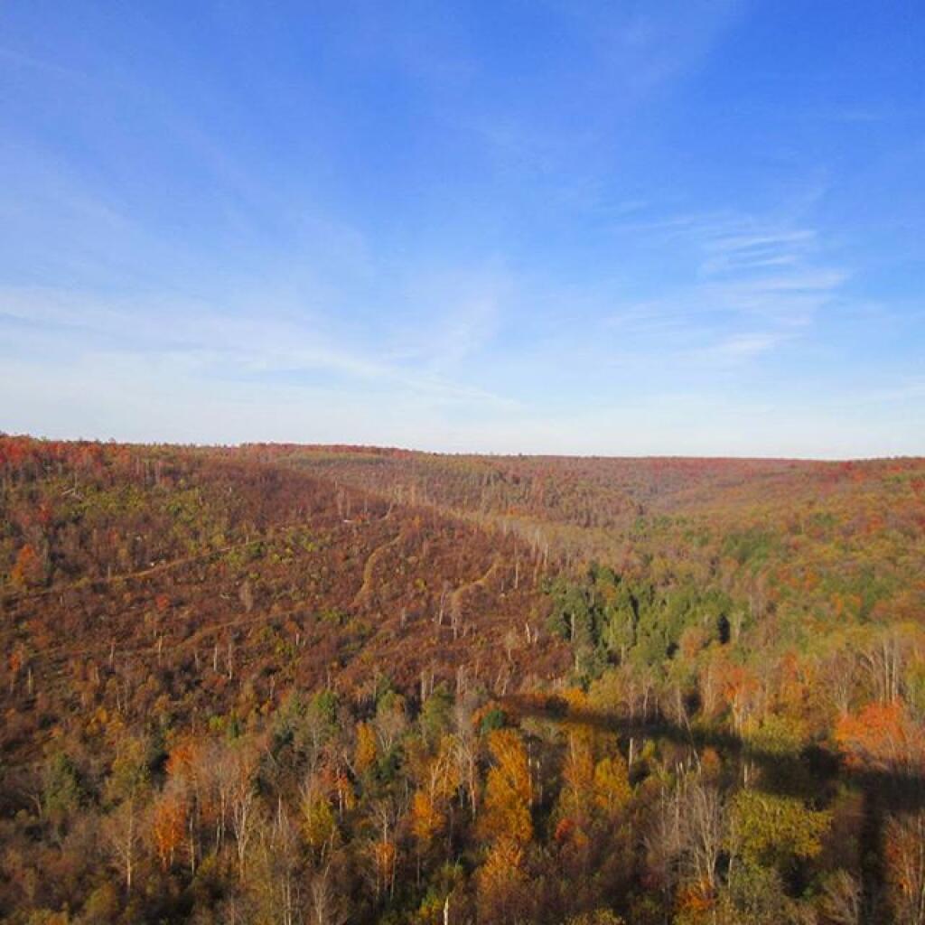 Ferris Lake Designated Roadside Campsites Andy