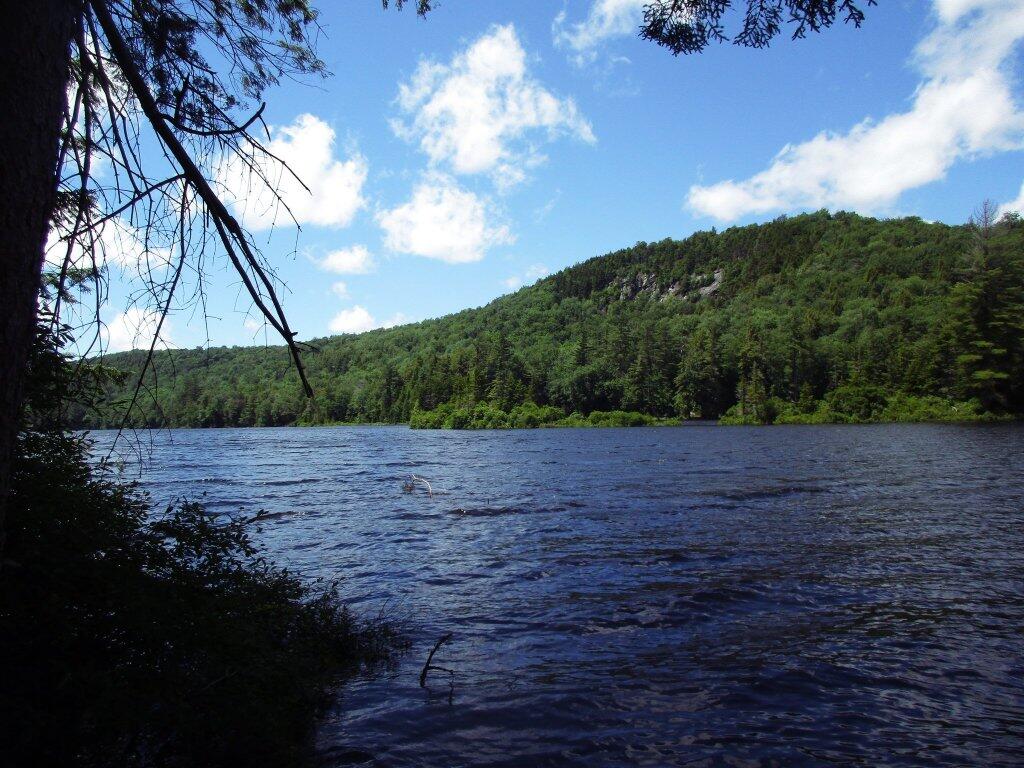 Ferris Lake Designated Roadside Campsites Andy