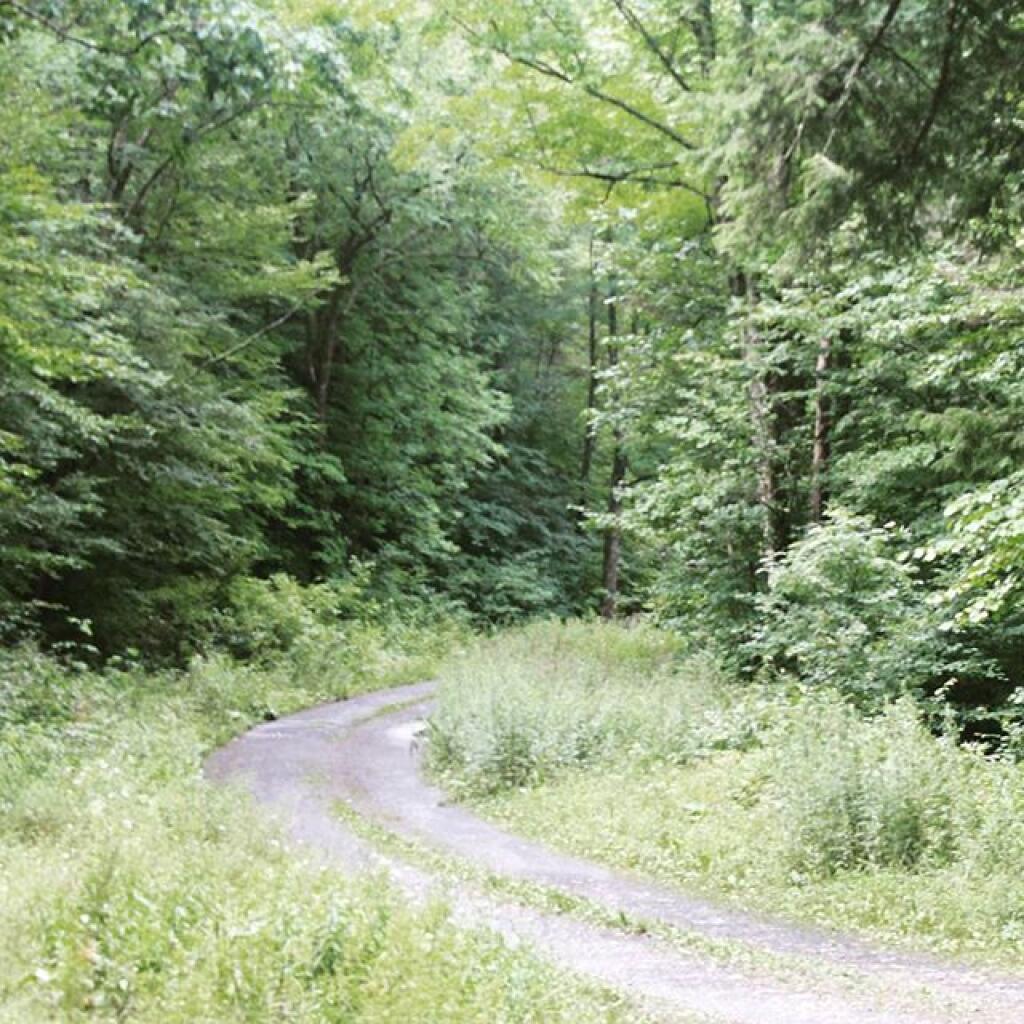 Ferris Lake Designated Roadside Campsites Andy