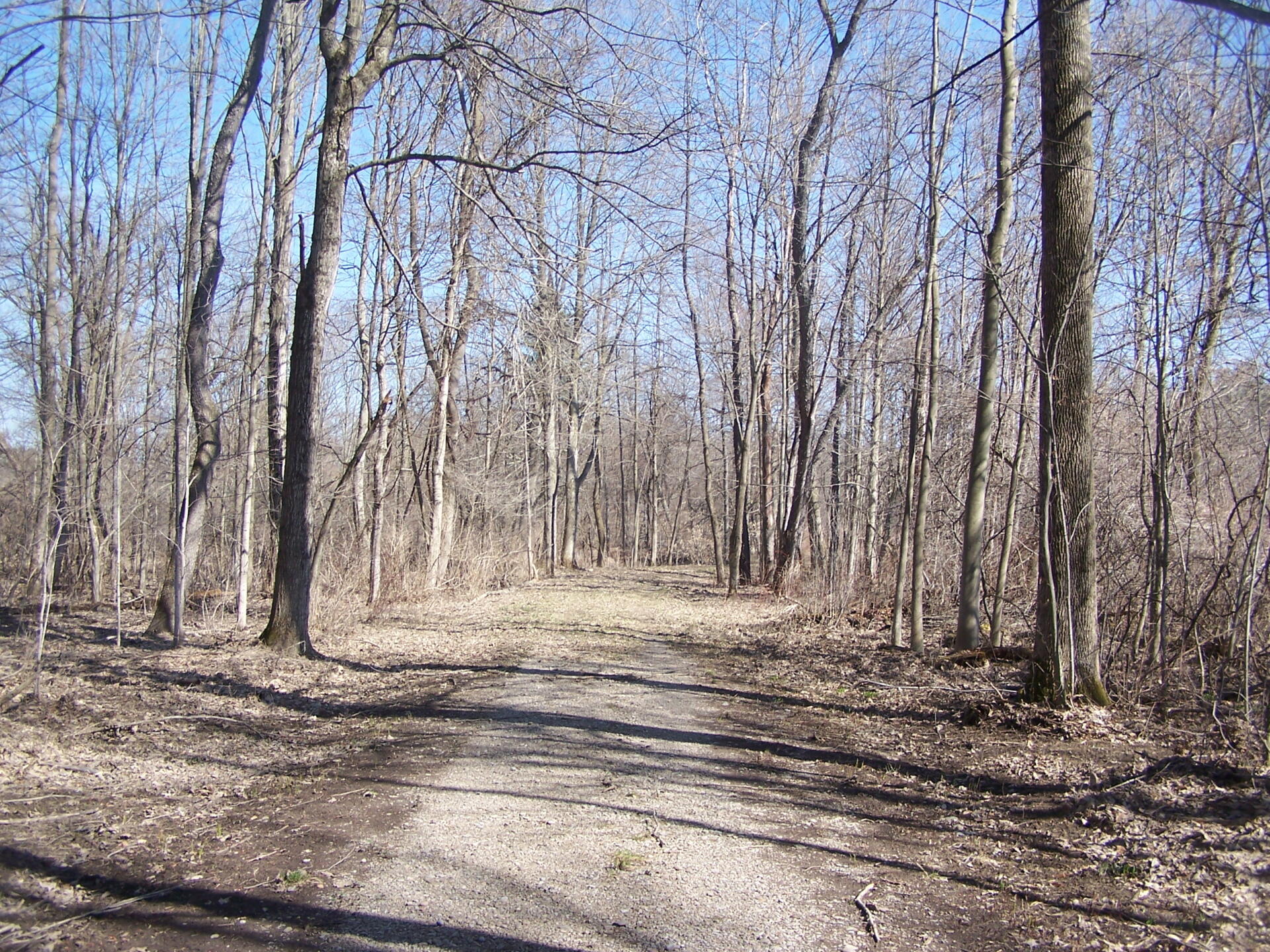 Photo Hiking Down to Chenango River Andy