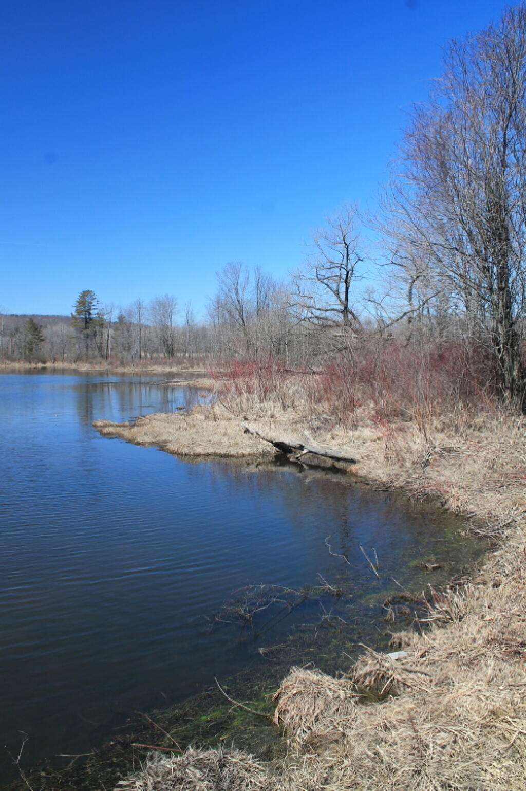 Whitney Point Reservior Andy
