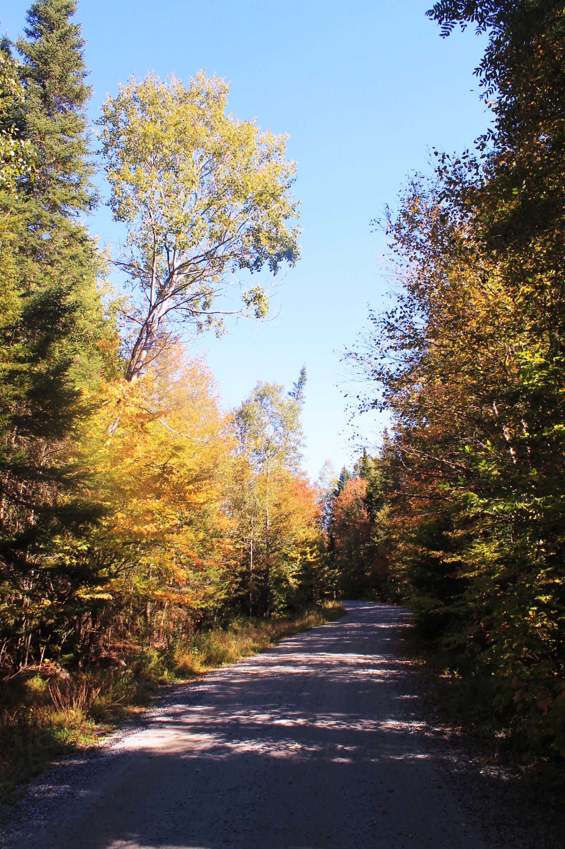 Photo Cedar RiverLimekiln Lake Road Andy