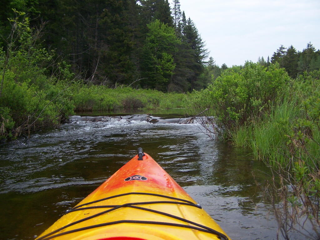 Photo Big Beaver Dam Ahead Andy