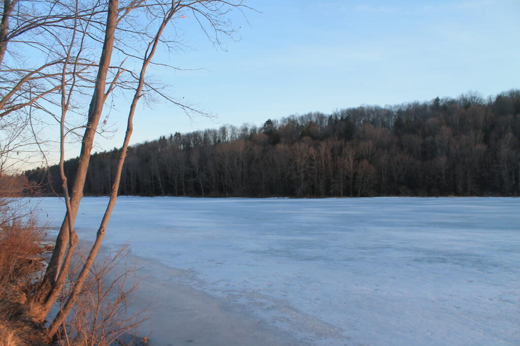 Long Pond State Forest Maps, Photos, Videos, Aerial Photography
