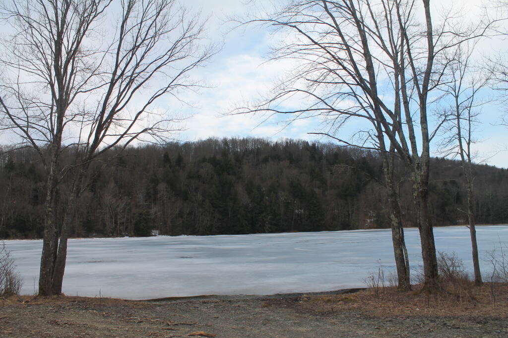 Large NY State Forests Tend to Be Located In Rural Areas Andy